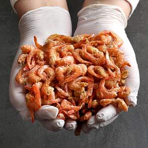 쇼어블룸 두절새우, 1개, 500g