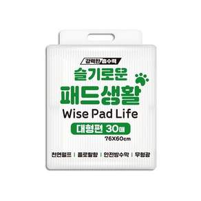 슬기로운패드(대형), 30개입, 1개