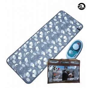 비오랩 차량용 전기장판 휴대용 차박 경량 12V/24V 그레이, 그레이 12V