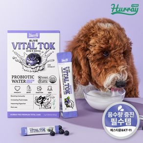허레이 프로 강아지 고양이 유산균 음수량 신장영양제 바이탈톡 얼라이브 면역력 보조제, 20회분, 장건강/유산균, 1개