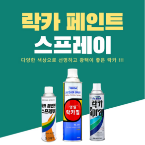 일신제약 락카 페인트 스프레이, 무투, 420ml, 1개