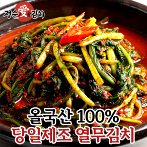 [정순애김치] 당일제조 국산 전라도식 열무김치, 1개, 2kg