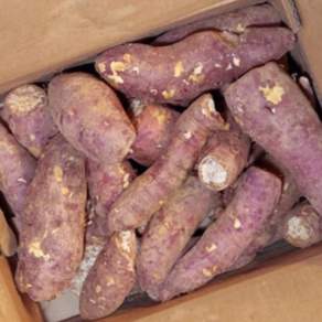 파머스넷 해남 못난이 고구마, 5kg (무선별), 1박스