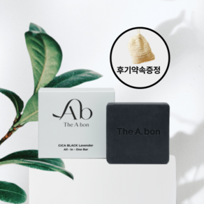 더아본 시카 올인원바 블랙라벤더 어성초 숯비누 모공 세안 세수 클렌징비누, 1개입, 100g