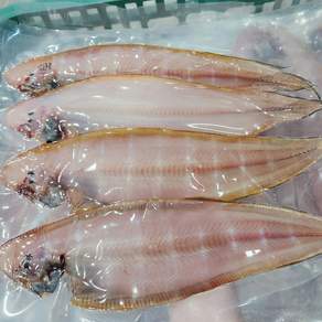 [진짜국내산] 반건조 박대 손질 구이 조림용, 1개, 500g (중 4미)