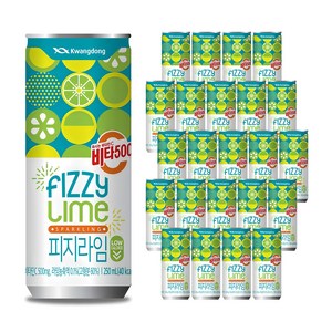 비타500 피지라임, 250ml, 24개