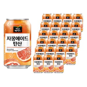 미닛메이드 자몽에이드 탄산, 355ml, 24개