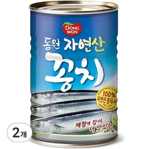 동원 자연산 꽁치, 400g, 2개