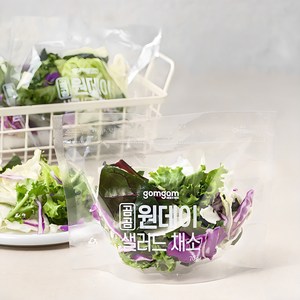 곰곰 원데이 샐러드 채소, 210g, 1봉, 210g