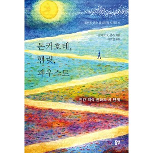 [동연출판사]돈키호테 햄릿 파우스트 : 인간 의식 진화의 세 단계 - 로버트 존슨 융심리학 6 (양장), 동연출판사, 로버트 A. 존슨