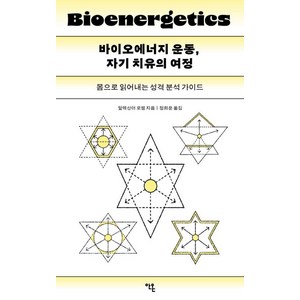 [안온북스]바이오에너지 운동 자기 치유의 여정 : 몸으로 읽어내는 성격 분석 가이드, 안온북스, 알렉산더 로웬