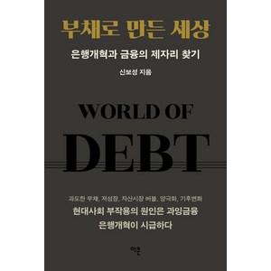 부채로 만든 세상:은행개혁과 금융의 제자리 찾기, 이콘, 신보성