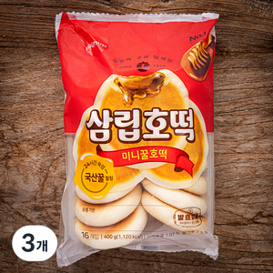 삼립 미니 꿀호떡, 400g, 3개