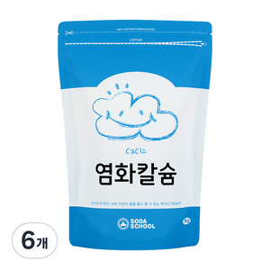 소다스쿨 염화칼슘 제습제 리필, 1kg, 6개