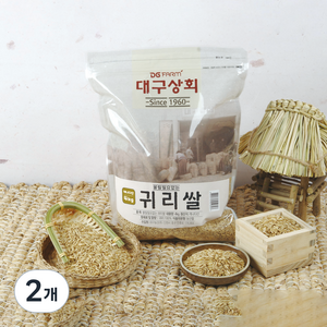 대구상회 불릴필요없는 귀리쌀, 4kg, 2개