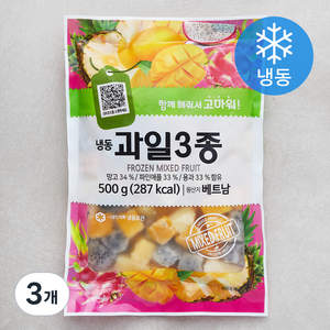 재호식품 과일 3종 망고 / 파인애플 / 용과 (냉동), 3개, 500g