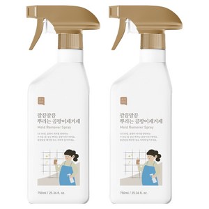 쉼표365 깔끔말끔 뿌리는 곰팡이제거제, 750ml, 2개