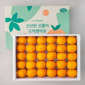 GAP 해풍맞은 올레길 Ai선별 당도선별 10brix감귤세트 로열과, 2kg, 1박스