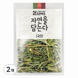 조은약초 자연을 담는다 프리미엄 야관문, 200g, 2개