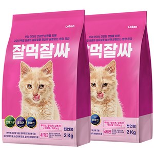 잘먹잘싸 전연령용 고양이 건식사료, 2kg, 연어, 2개