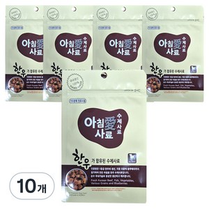 아침애사료 수제사료 1등급 한우, 소, 200g, 10개