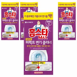 홈스타 맥스 퍼펙트 변기클리너, 540ml, 4개