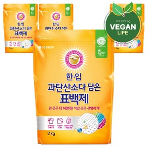 한입 과탄산소다 담은 표백제, 2kg, 4개