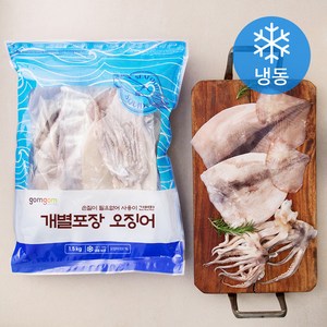 곰곰 개별포장 오징어, 1.5kg, 1개