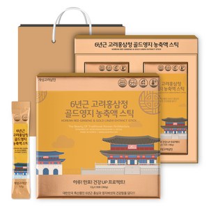 개성고려삼인 6년근 고려홍삼정 골드영지 농축액 스틱 12g x 30p + 쇼핑백 세트, 360g, 1개