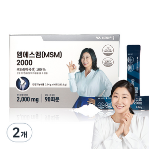 비타민마을 msm 2000 식이유황, 183.6g, 2개