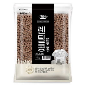 더담은 렌틸콩 렌즈콩, 4kg, 1개