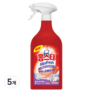 홈스타 맥스프레쉬 뿌리는 곰팡이 싹 세정제, 750ml, 5개