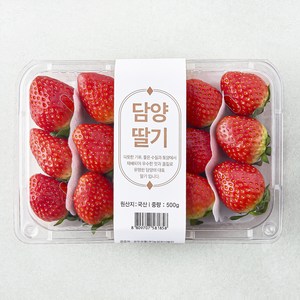 담양 설향 딸기, 1개, 500g