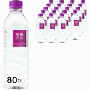 몽베스트 생수, 500ml, 80개