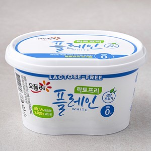 요플레 빙그레 플레인 화이트 락토프리, 430g, 1개