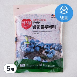 이츠웰 칠레산 블루베리 (냉동), 1kg, 5개