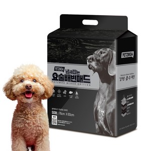 페츠모아 냄새잡는 요술배변패드 SWG 블랙 에디션, 50개입, 1세트