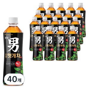 광동진한헛개차 남, 500ml, 40개