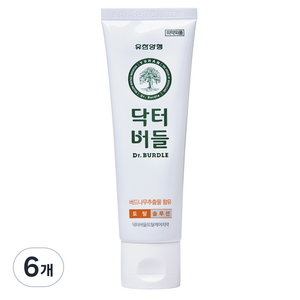 닥터버들 토탈케어 치약, 100g, 6개