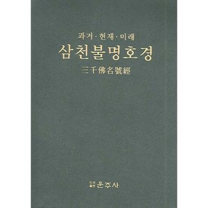 [운주사]삼천불명호경(과거 현재 미래)(가죽), 운주사