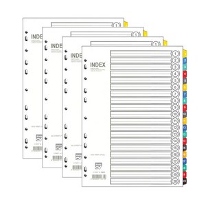 알파 인덱스간지 PVC 20분류 A4 AI-620, 4개입