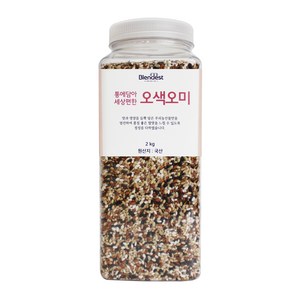 블랜디스트 통에담아 세상편한 오색오미, 2kg, 1개