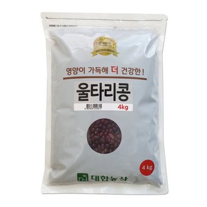 대한농산 울타리콩, 4kg, 1개