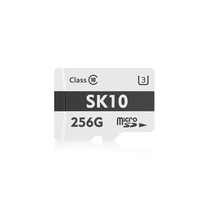 액센 SK10 Micro SD, 256GB, 1개