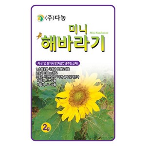 다농 미니 해바라기 씨앗 2g, 1개