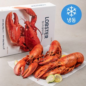 싱싱특구 홈파티팩 자숙 랍스타 (냉동), 350g, 3마리