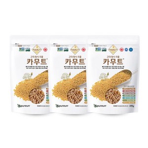 카무트 고대곡물 이집트 호라산밀, 500g, 3개