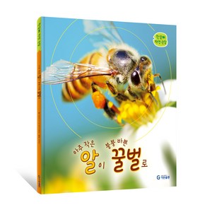 아주 작은 알이 붕붕 바쁜 꿀벌로, 기탄교육연구소, 카밀라 드 라 베두아예르, 1권