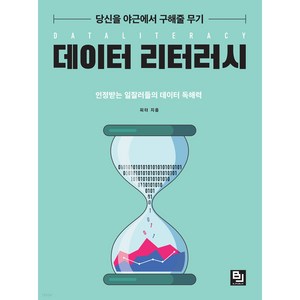 당신을 야근에서 구해줄 무기 데이터 리터러시:인정받는 일잘러들의 데이터 독해력, 비제이퍼블릭