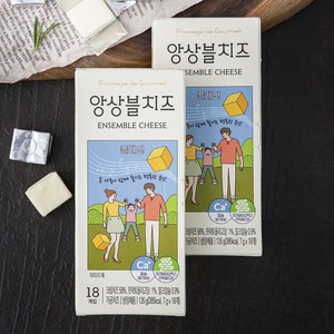 FomagedeGoumet 앙상블 치즈 플레인 18개입, 126g, 2개